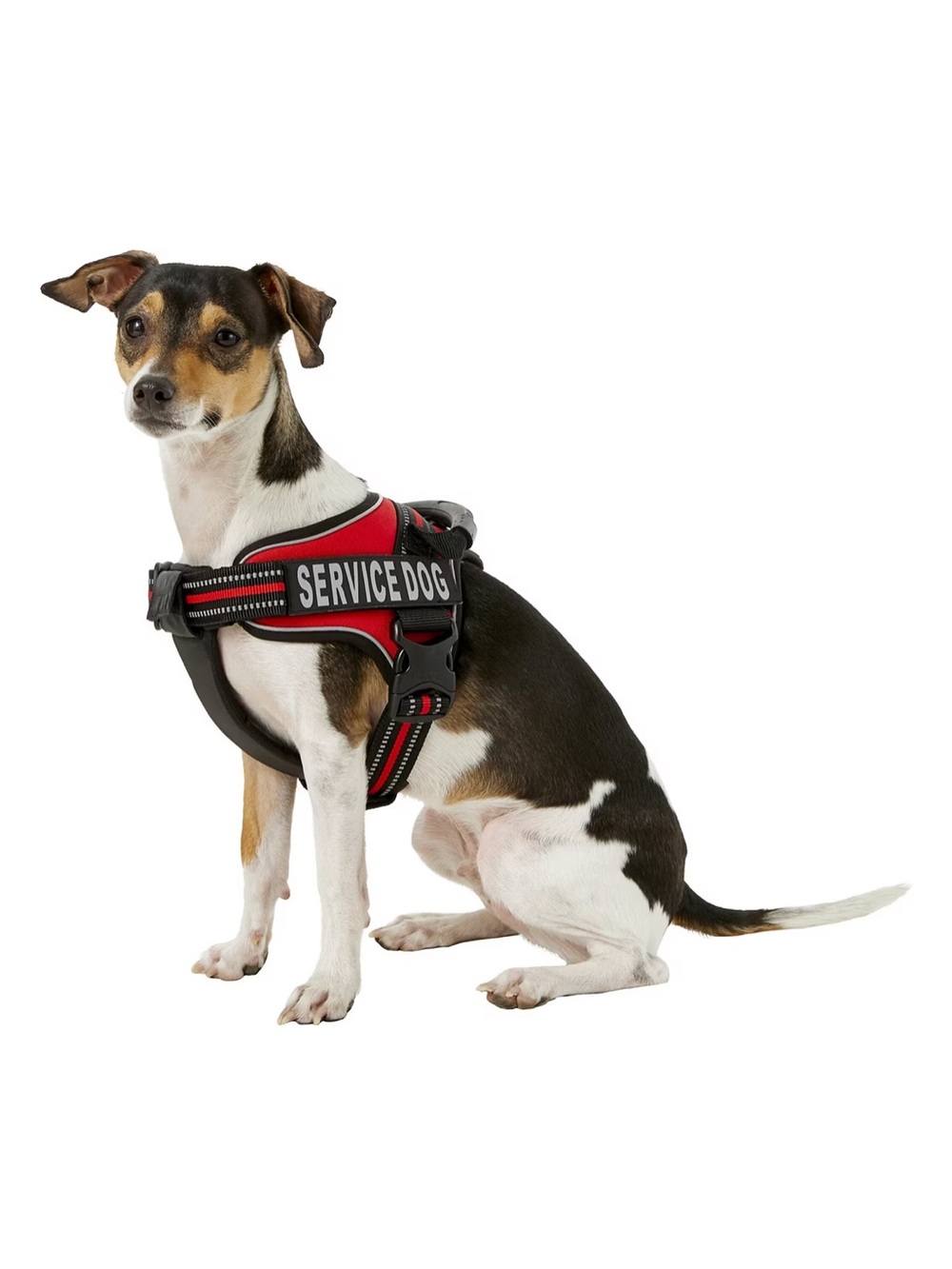 NWT SERVICE DOG Red Harness